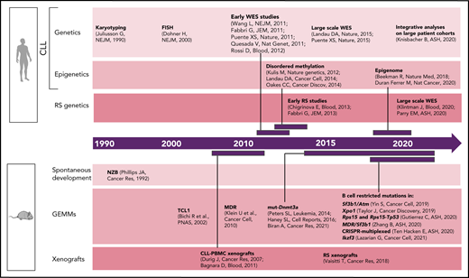 Timeline of human vs murine studies highlighting landmark papers and ASH abstracts related to genetic/epigenetic analyses of human CLL and RS and to the generation of genetically engineered mouse models and xenografts.