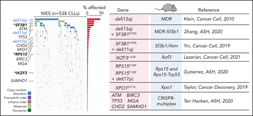 Comutation plot highlighting disease drivers identified in our latest published dataset of 538 CLLs that were since then modeled in mice. Modeled human gene mutations, name of mouse model, and reference study are indicated in the table. Published dataset of 538 CLLs from Landau et al.8