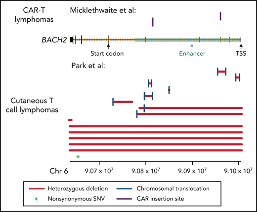 Mutation pattern consistent with a tumor suppressor role in BACH2. Alterations in the BACH2 gene locus in patients with CAR T-cell lymphomas (Micklethwaite et al1) and in CTCL (Park et al2). Black rectangles represent BACH2 exons. Coordinates shown use the hg19 genome build. SNV, single nucleotide variant; TSS, transcriptional start site.