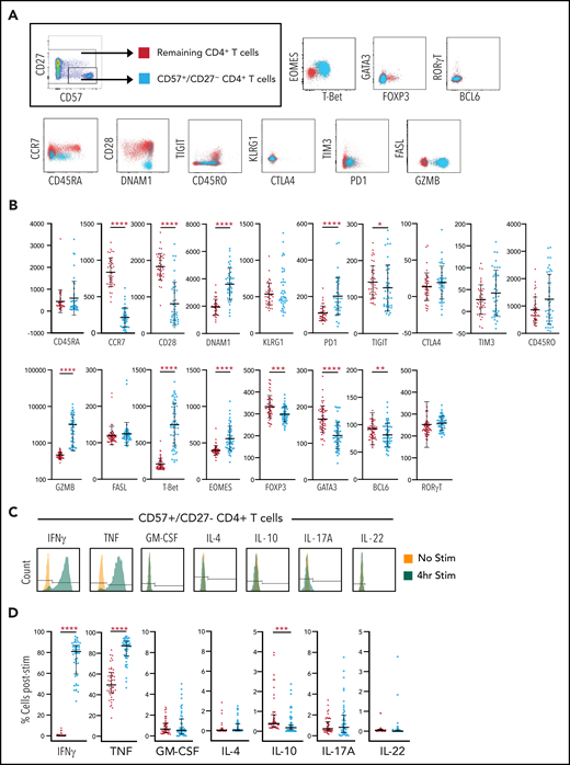 Characterization of CD4+/CD57+/CD27– T cells. (A) CD4+ lymphocytes were gated on the CD57+/CD27– profile for each patient sample and compared with the remaining bulk CD4+ population for that patient with respect to expression of various markers, including CCR7, CD45RA, CD28, DNAM1, TIGIT, CD45RO, KLRG1, CTLA4, TIM3, PD1, FASL, Granzyme B, and transcription factors EOMES, T-bet, GATA3, FOXP3, RORγT, and BCL6. Representative plots for markers are shown. (B) Respective geometric mean of fluorescent intensity (MFI) comparing CD57+/CD27– CD4+ T cells to remaining bulk CD4+ T cells. (C) Production of IFN-γ, TNF, GM-CSF, IL-4, IL-10, IL-17A, and IL-22 are shown for a representative sample of the CD57+/CD27– CD4+ T-cell population. The gating strategy used to identify positive or negative expression is illustrated. (D) Representative profile for each cytokine is shown for both CD57+/CD27– CD4+ T cells and remaining CD4+ T cells with respect to percent of positive cells identified by the gating strategy shown in panel C. Median with interquartile range are illustrated. Statistical significance is denoted by *P < .05, **P < .01, ***P < .001, ****P < .0001.