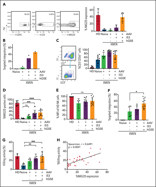 In vitro phenotypic and functional correction in immune cells after GE of XMEN CD34+ HSPCs. (A) Dot plots showing the gating strategy after in vitro T-cell differentiation of CD34+ cells using the ATO system; bar graph on the right shows NKG2D expression in CD3+ T cells at 6 weeks of differentiation (data are representative of 2-4 independent experiments; 300-20 000 events acquired in CD3+ gate). (B) Targeted integration measured by ddPCR analysis in ATO-derived cells at week 6 of in vitro differentiation (data are representative of 2 independent experiments). (C) Dot plot showing the gating for NK cells (CD3–CD56+) and NKG2D expression after 35 days of in vitro NK-cell differentiation from CD34+ cells; bar graph shows the percentage of CD34-derived NK cells in each condition. (D) NKG2D expression (% positive cells), (E) level of expression determined as the percentage of mean fluorescence intensity (MFI) of HD NK cells, and (F) targeted integration by ddPCR analysis in NK cells at day 35 of in vitro differentiation (4 independent experiments for –i53, 5 for +i53, and 8 for +i53+hGSE). (G) Cytotoxic activity of CD34+-differentiated NK cells against K562 cells at an effector:target ratio of 2:1 (4 independent experiments for –i53, 9 for +i53, and 8 for +i53+hGSE). (H) Correlation between the NKG2D expression (%) and the killing activity (%) in NK cells at day 35 was calculated using Spearman’s correlation coefficient and 2-tailed P value (n = 33 pairs). Data are shown as mean ± SD. *P < .05; **P < .01; ***P < .001; ****P < .0001. FSC, forward scatter.