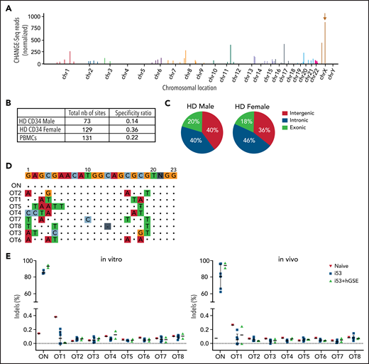 Analysis of OT activity. (A) Manhattan plot showing the results of off-targets for CD34+ cells by CHANGE-seq assay using gDNA extracted from HD male donor CD34+ cells electroporated with Cas9 mRNA and sgRNA#1. The brown arrow indicates the on-target site (MAGT1 gene) on chromosome X. (B) Table reporting the total number (nb) of cleavage sites (on- and off-targets) and the specificity ratio using male and female HD HSPCs or HD peripheral blood mononuclear cells (PBMCs). (C) Pie charts showing fraction of cleavage sites categorized according to their genomic features after CD34+ cells from HD male and female donors were edited. (D) Identity of the nucleotide mismatches at the OT sites. ON indicates the on-target site without mismatch, whereas OT1-OT8 indicate the top 8 OT sites shared by male and female HD CD34+ HSPCs and HD PBMCs. (E) Percentage of cutting activity evaluated by sequencing at ON and OT sites detected by CHANGE-Seq in in vitro (CD34+ cells 2 days after gene editing) and in vivo (hCD45+ cells from the BM of NSGS mice that had received a transplant at week 16 posttransplant) samples. For all the graphs, data are shown as mean ± SD.