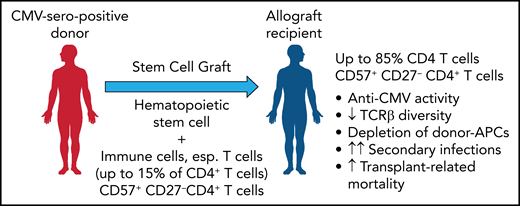 By transferring a donor-derived, expanded CD57+ 27− CD4+ T-cell population from a CMV-seropositive donor that further expands in the allograft recipient, T-cell inflation is induced with a reduced TCR repertoire and a depletion of donor APCs. This result increases the risk of secondary infections and transplant-related mortality. Professional illustration by Patrick Lane, ScEYEnce Studios.