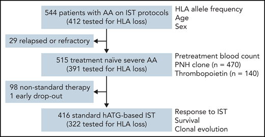 Patients and clinical parameters studied. Correlations of clinical parameters with HLA genotype and HLA loss were tested in subgroups based on the availability of data.