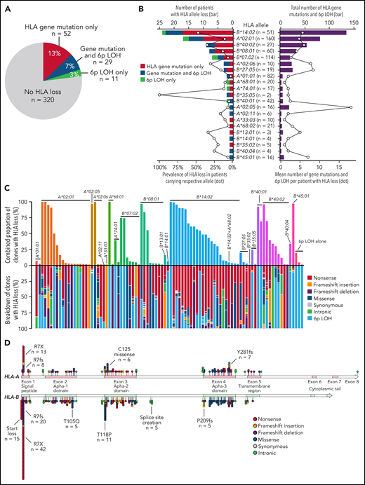 HLA class I allele loss. (A) Number of patients with HLA loss due to HLA gene mutations, 6p LOH, or both in a total of 412 subjects tested. (B) The number and proportion of patients who lacked individual HLA alleles (left); the total and mean number of clones with HLA gene mutations and 6p LOH among patients who lost respective HLA alleles (right). The number of patients tested for the presence of HLA loss is shown in parenthesis. (C) Combined clone size of cells with HLA loss (upper) and the clone size of individual HLA gene mutations and 6p LOH among cells with HLA loss (lower). (D) Positions and types of somatic inactivating mutations in HLA-A (n = 123) and HLA-B (n = 267). Hotspot mutations are noted on the figure.