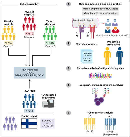 Study design. Sketch describing the design and the principal steps of the study.