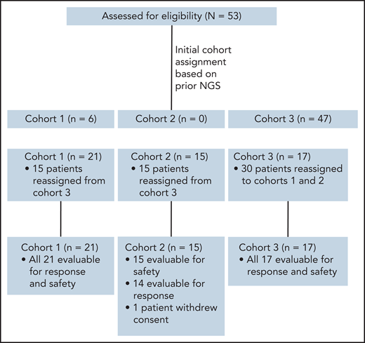 CONSORT diagram showing distribution of patients among cohorts upon initial enrollment, based on prior NGS performed on patient biopsies, and at final assignment after NGS of preenrollment biopsy and/or pSTAT3 IHC. Note that the final cohort for evaluation was 52 patients, as 1 patient in cohort 2 withdrew consent during the first week of treatment.