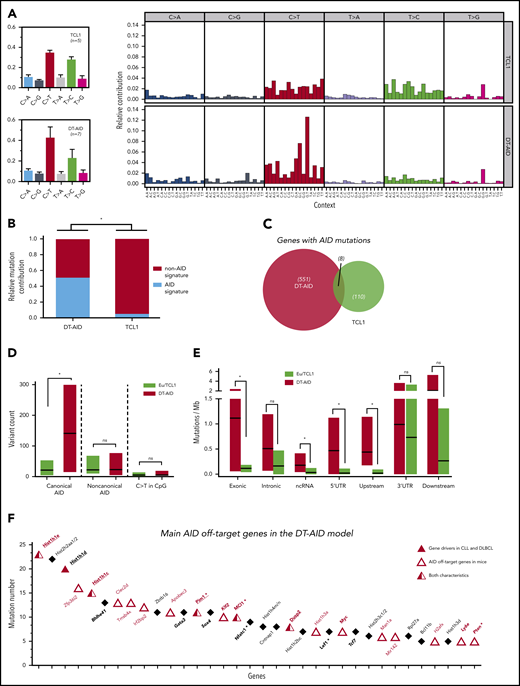 Mutational activity and identification of AID nonimmunoglobulin, off-target genes in DT-AID mice. Purified leukemic cells from spleens of 5 TCL1 and 7 DT-AID were studied by the WES technique. (A) Total somatic mutation pattern (left) and analysis of somatic mutation pattern by 96-trinucleotide substitutions model (right). One signature was dominated by C>T transitions at the RCY motif (c-AID). For the remaining 2 signatures, we were not able to establish a significant correlation with any described mutational process reported in COSMIC (https://cancer.sanger.ac.uk/cosmic/signatures). (B) Relative contribution of AID mutations (black) and mutations without AID mutations (white) for TCL1 and DT-AID mice. Using a 12% cutoff, DT-AID mice showed a higher contribution of AID mutations than TCL1 (5 of 7 vs 0 of 5; P = .02, Fisher exact test). (C) Venn diagram depicting the number of genes mutated by AID in TCL1 and DT-AID mice. (D) Quantification of mutations according to occurrence at canonical and noncanonical AID hotspots, and C>T transitions in CpG, for TCL1 vs DT-AID mice. Significant differences were found comparing c-AID mutations between both strains (P = .02 2-tailed, unpaired Student t test). (E) Genomic context of AID-related variants. Significant differences in exonic (P = .03), ncRNA (P = .04), and 5′ UTR (P = .03) (2-tailed, unpaired Student t test). Upstream and downstream indicate variants overlapping the 1-kb region up/downstream of transcription start or end site. Intergenic regions were excluded from analyses. (A-E) *P < .05. (F) Recurrently mutated genes, ≥5 c-AID mutations distributed between at least 2 mice in DT-AID mice are represented, summing the 7 genomes included in our study for this genotype. Total number of mutations in each gene, for the entire group, is depicted on the y-axis. Genes are displayed on the x-axis according to mutation numbers. Genes previously described as AID-off targets are indicated by red characters and an open triangle. Driver genes in B-cell neoplasms previously described are underlined and identified by a red triangle. Genes in bold plus italic letters represent genes associated with tumor development. Genes associated with CLL progression are highlighted by asterisks.