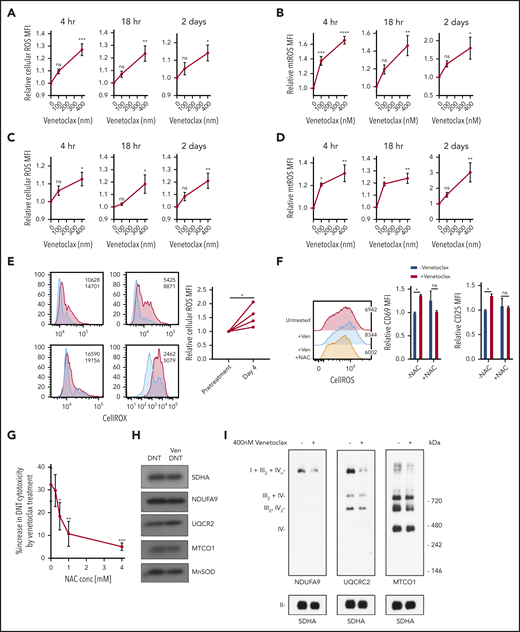Venetoclax increases ROS level to enhance T-cell effector function. (A-D) DNT (A-B) or Tconv cells (C-D) were treated with 0 nM, 100 nM, or 400 nM venetoclax for 4 hours, 18 hours, and 2 days. Cells were stained with CellROX (A,C) or MitoSOX (B,D). Median fluorescence intensity (MFI) of cellular or mitochondrial (mt) ROS was measured by using flow cytometry. Data represent the mean ± SEM of results from 4 different donor T cells. (E) Cellular ROS level in T cells obtained from 4 patients with AML before and during venetoclax and azacytidine treatment were determined by using flow cytometry. Flow histogram shows the CellROX staining for each patient’s T cells. Blue represents cellular ROS level in T cells from pretreatment samples and red represents those from day 4 of treatment. (F) DNTs treated with 400 nM venetoclax with or without 2 mM NAC for 18 hours. Flow histogram shows the cellular ROS level measured by using flow cytometry. MFI of CD25 and CD69 were measured by flow cytometry. Experiments were done in triplicate, and the data shown are representative of 2 independent experiments conducted by using DNTs from 2 donors. (G) DNTs treated with 400 nM venetoclax in the presence of increasing concentrations of NAC for 18 hours followed by coculture with OCI-AML2 for 2 hours at a 2:1 DNT:AML ratio. Experiments were done in triplicate, and data represent the percent increase in DNT-mediated cytotoxicity by venetoclax ± SD specific killing from 1 of 3 independent experiments done using DNTs from 3 different donors. (H) DNT cells were treated with 400 nM venetoclax for 18 hours. After treatment, mitochondria were isolated and levels of respiratory chain complex subunits were measured by sodium dodecyl sulfate–polyacrylamide gel electrophoresis gels and immunoblotting with antibodies against NDUFB8 (complex I), SDHA (complex II), UQCRC2 (complex III), and MTCO1 (complex IV). (I) Mitochondrial fractions were isolated after DNTs were treated with 400 nM venetoclax for 18 hours. Complex and respiratory chain supercomplex assembly were measured by blue native–polyacrylamide gel electrophoresis with antibodies against NDUFB8 (complex I), SDHA (complex II), UQCRC2 (complex III), and MTCO1 (complex IV). The results shown are representative of 3 independent experiments conducted by using DNTs from 3 different donors. Student t test or 1-way analysis of variance was used for statistics. *P < .05; **P < .01; ***P < .001; ****P < .0001.