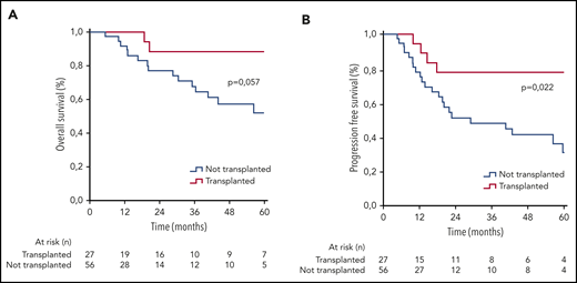 OS and PFS stratified by transplant status in CR1. Kaplan-Meier curves show OS (A) and PFS (B) estimates for patients who underwent autologous stem cell transplantation in first complete remission (red line) vs transplant-eligible patients (age ≤65) who did not undergo transplantation (blue line). The number of patients under follow-up is listed under the x-axis.