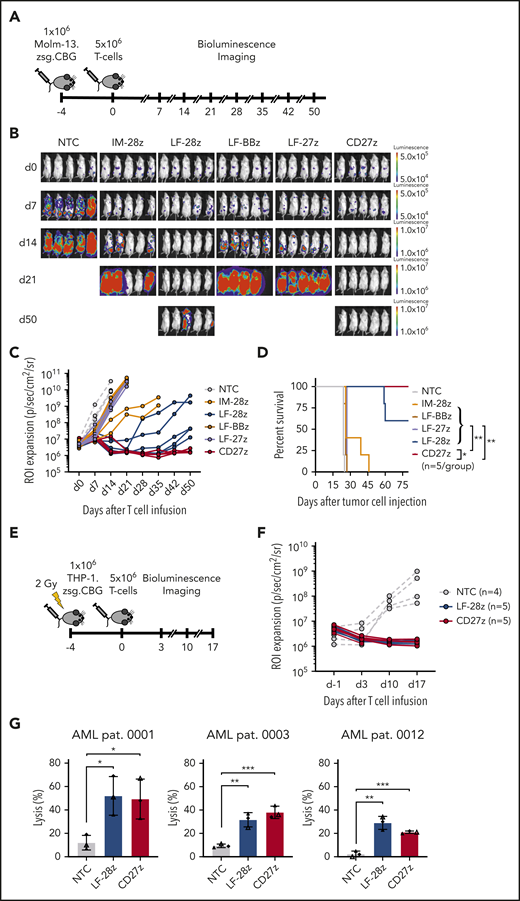 Antileukemic activity of CD70-CAR T cells in 2 murine AML xenograft models and against primary AML blast cells. (A) The experimental setup of the Molm-13 xenograft model. CD70-CAR T cells (5 × 106) were injected 4 days after engraftment of luciferase-labeled Molm-13 cells (1 × 106). BLI was performed before T-cell injection on day 0 and weekly thereafter (n = 5 for each treatment group). (B) BLI on the indicated days (after T-cell injection) of mice with Molm-13 cell engraftment and treatment with CD70-CAR or NT T cells. (C) Quantitative analysis of bioluminescence signals for individual mice from each treatment group. (D) Kaplan-Meier survival plot of mice treated with CD70-CAR or NT T cells. The log-rank (Mantel-Cox) test was used to perform statistical analyses of survival between the treatment groups. (E) The experimental setup of the THP-1 xenograft model. After sublethal irradiation, NSG mice underwent injection of 1 × 106 luciferase-labeled THP-1 tumor cells. 4 days later, after engraftment, the mice then received an injection of 5 × 106 CD70-CAR or NT T cells and were subsequently monitored by BLI. (F) Quantitative analysis of bioluminescence signals for individual mice with THP-1 tumor cell engraftment and treatment with LF-28z-, CD27z-CAR, or NT T cells. (G) Cytotoxicity of LF-28z- and CD27z-CAR T cells Ts against AML blasts from 3 patients with AML and various levels of CD70 expression was determined with a chromium-51 release assay. Data are the mean percentage of lysis ± standard deviation at an E:T target ratio of 40:1 from 3 different donors, with 3 technical replicates. *P < .05; **P < .01; ***P < .001, by unpaired Student t test.