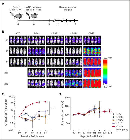 Expansion and trafficking of CD70-CAR T cells in vivo. (A) The experimental setup. NSG mice underwent AML engraftment with 1 × 106 Molm-13 cells and injection of 5 × 106 CD70-CAR or NT T cells genetically modified to express a luciferase-GFP fusion protein 4 days later. T-cell expansion and trafficking were monitored by BLI on days 4, 7, 11, and 15 (n = 5 for each treatment group). (B) BLI of mice on the indicated days after infusion of CD70-CAR or NT T cells. (C) Quantitative analysis of BLI for each treatment group. Data are the mean ± standard deviation (SD) of 5 animals per treatment group. The area under the curve was calculated for each treatment group and compared by unpaired Student t test; ****P < .0001. (D) The body weight of treated mice was measured as an indicator of their overall condition. The change in body weight compared with the day of T-cell injection for each treatment group is depicted. Data represent the mean of each group ± SD. Results represent pooled data from 5 animals.