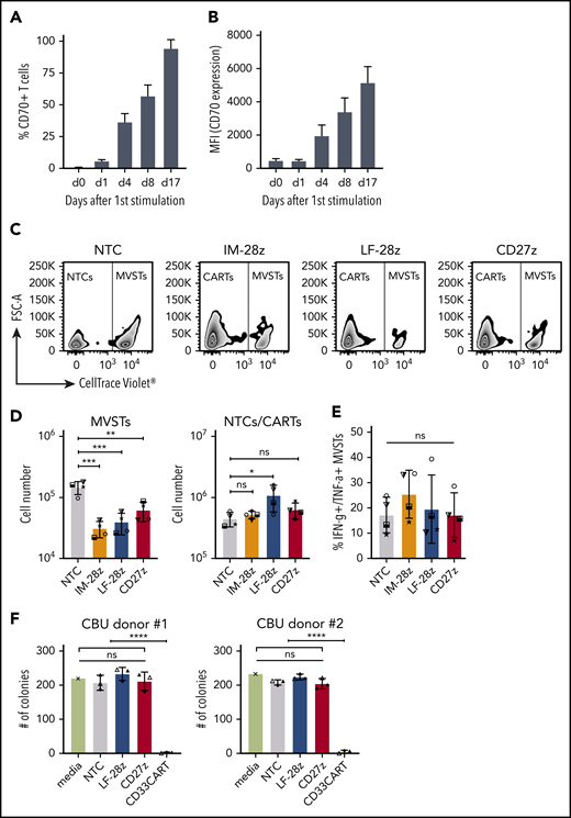 CD70-CAR T cells eliminate multivirus-specific T cells, but spare normal HSCs. (A-B) CD70 expression on MVSTs was determined by flow cytometry at different time points after stimulation. Bar graphs representing the percentage of CD70-positive cells (A) and the mean fluorescence intensity (MFI) of CD70 expression of MVSTs (B) at the indicated time points. CellTrace Violet–labeled MVSTs were cocultured with autologous CD70-CAR or NT T cells and harvested after 72 hours. The absolute cell count of both T-cell populations was determined by flow cytometry with CountBright counting beads. (C) Representative dot plots for the different T-cell groups are shown, in which autologous MVSTs can be distinguished from CAR or NT T cells by their CellTrace Violet labeling. (D) The total number of MVTSs (left graph) and CAR/NT T cells (right graph) after 3 days of coculture. (E) The percentage of MVSTs with intracellular IFN-γ and TNF-α expression after 3 days of coculture with CD70-CAR or NT T cells, followed by stimulation with EBV-, adenovirus-, and CMV-specific pepmixes. Data are the mean ± standard deviation (SD) of results from 4 different donors. (F) CD70-CAR, CD33-CAR, and NT T cells were cocultured with normal CD34-positive HSCs for 6 hours, and the cells were seeded in a standardized medium for CFU assays. The total number of colonies after the first plating were determined after 2 weeks of incubation. Data are the mean number of colonies formed by HSCs from 2 different donors after incubation with CAR or NT T cells from 3 different donors. The error bars indicate the SD. Two independent investigators counted colonies from 2 technical replicates for each condition. *P < .05; **P < .01; ***P < .001; ****P < .0001; ns, not significant, by unpaired Student t test.