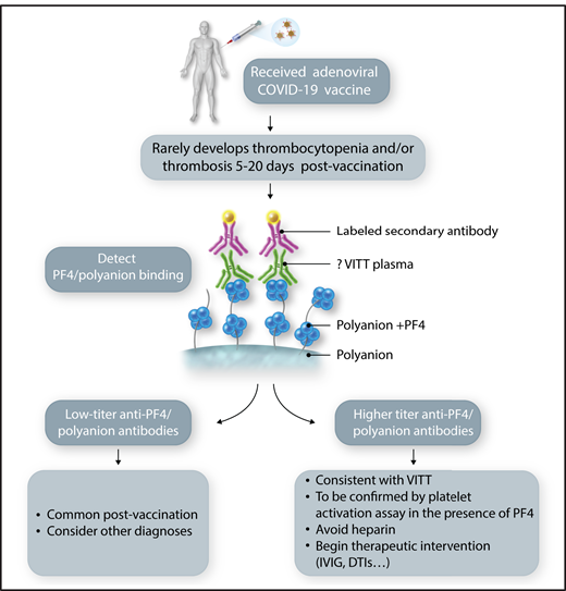 Laboratory screening for VITT. An individual receiving a vaccination for COVID-19. Those receiving an adenoviral-based vaccine have a rare risk of developing VITT. If they develop symptomatology concerning for thrombosis and/or thrombocytopenia, especially 5 to 20 days after the first vaccination, laboratory testing should be performed beginning with an antigenic anti-PF4/polyanion assay. Absent-to-low titers should be reassuring, but elevated levels should lead to a platelet functional assay and consideration of therapeutic intervention. DTI, direct thrombin inhibitor; IVIG, IV immunoglobulin. Professional illustration by Somersault18:24.