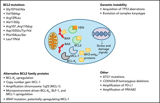 Mechanisms of venetoclax resistance in CLL.