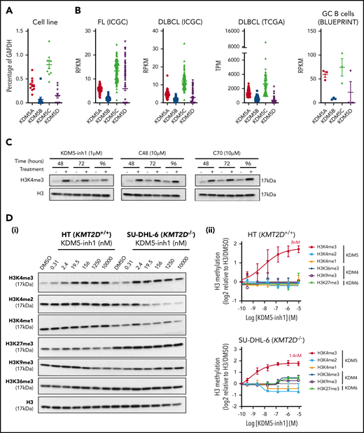 KDM5 inhibition increases H3K4me3 levels in DLBCL cell lines. (A) The expression of the 4 KDM5 family members (KDM5A-D) was examined by quantitative reverse transcriptase-polymerase chain reaction in 10 DLBCL cell lines and normalized to the expression of GAPDH. Data are the mean ± standard error of the mean (SEM) of 3 independent experiments. (B) KDM5 family member expression was examined by RNA-seq in publicly available datasets of FL (ICGC, n = 9721) and DLBCL (TCGA, n = 48; ICGC, n = 74) patients, plus healthy GC B cells (BLUEPRINT22). RPKM, reads per kilobase million; TPM, transcripts per million. (C) SU-DHL-6 cells were treated with 1 µM KDM5-inh1 or 10 µM Compound-48 and KDM5-C70 for 48, 72, and 96 hours, followed by western blot analysis of H3K4me3 levels relative to H3. (D) The SU-DHL-6 and HT cell lines were treated with DMSO or increasing concentrations of KDM5-inh1 for 48 hours. Representative western blots for H3K4me3/me2/me1 (KDM5), H3K9me3/K36me3 (KDM4), H3K27me3 (KDM6), and H3 (i). Quantification of western blots relative to H3 (ii). Data are mean ± SEM of 3 independent experiments.