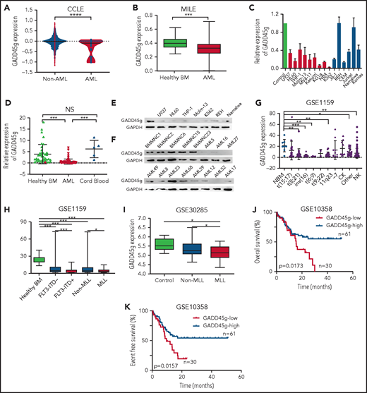 Significantly lower expression of GADD45g in AML cells and its correlation with poor prognosis. (A) Violin plot of GADD45g expression in the Cancer Cell Line Encyclopedia (CCLE) data set, comparing AML cell lines (AML; n = 34) vs non-AML cancer cell lines (Non-AML; n = 913). (B) Comparison of GADD45g expression between primary BMMNCs from patients with AML (n = 542) and normal controls from healthy volunteers (n = 74) in AML datasets Microarray Innovations in Leukemia (MILE) (GSE13204). (C) Relative mRNA expression of GADD45g in hematopoietic malignant cell lines quantified by qRT-PCR and normalized to β-actin. (D) GADD45g mRNA expression in primary BMMNCs from patients with AML (n = 85) and BMMNCs from healthy donors (n = 39) and MNCs from human CB (n = 5) as normal controls, as determined by qRT-PCR. Western blot analysis of GADD45g protein levels in hematopoietic malignant cell lines (E) and in primary BMMNCs from patients with AML (n = 11) and healthy donors (F) (n = 5). (G) The expression patterns of GADD45g in different disease subsets in the AML data set GSE1159 (n = 272). The correlation of GADD45g expression with MLL-rearrangements or FLT3-ITD mutations in AML data sets GSE1159 (H; n = 272) and GSE30285 (I; n = 93). OS (J) and event-free survival (K) of AML patient in AML data set GSE10358 stratified according to GADD45g expression. Survival curves were analyzed by using the Kaplan-Meier method, and P values were determined with the log-rank (Mantel-Cox) test. Data are presented as mean ± SD, and differences were compared by using the 2-tailed Student t test. Multiple groups were analyzed with the 1-way analysis of variance. *P < .05, **P < .01, ***P < .001, ****P < .0001. CK, complex karyotype; NBM, normal bone marrow; NK, normal karyotype; NS, not significant.