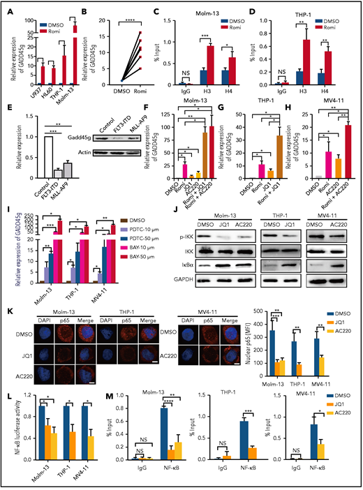 Epigenetic regulation and relevant leukemic oncogenes repress GADD45g expression in AML, and NF-κB mediates the activation of GADD45g by oncogene inhibitors JQ1 and AC220. qRT-PCR analysis of GADD45g expression in AML cell lines (A) or in BMMNCs from patients with AML (B) (n = 6) treated with 5 nM romidepsin (Romi) for 48 hours. Molm-13 cells (C) and THP-1 cells (D) were treated with or without 3 nM Romi for 48 hours. The cells were subjected to ChIP analysis by using antibodies against acetyl-histone H3 (Lys9) and anti–acetyl-histone H4 (Lys8). The enriched DNA that associated with the promoter region of GADD45g was quantified by using qPCR. (E) qRT-PCR and western blot analysis of Gadd45g expression in 32D cells transduced with FLT3-ITD, MLL-AF9, or control constructs. qRT-PCR analysis of GADD45g expression in Molm-13 cells (F), THP-1 cells (G), and MV4-11 cells (H) treated with Romi (3 nM), AC220 (10 nM), JQ1 (100 nM), or combinations as indicated for 48 hours. (I) qRT-PCR analysis of GADD45g expression in AML cell lines treated with NF-κB inhibitors PDTC or BAY 11-70825 for 24 hours at the doses indicated. (J) The AML cell lines were treated with dimethyl sulfoxide (DMSO), JQ1 (100 nM), or AC220 (10 nM) for 24 hours and then subjected to western blot to detect the indicated proteins. (K) The AML cell lines were treated with DMSO, JQ1 (100 nM), or AC220 (10 nM) for 24 hours. Representative immunofluorescence (left) showing the localization of NF-κB p65 from 3 independent experiments, and quantification (right) of the mean fluorescence intensity in nuclear. Scale bars, 5 μm. (L) Relative activity of NF-κB–dependent luciferase reporter in the indicated AML lines treated with either DMSO, JQ1 (100 nM), or AC220 (10 nM) for 24 hours. (M) The AML cell lines were treated with DMSO, JQ1 (100 nM), or AC220 (10 nM) for 24 hours. The cells were subjected to ChIP analysis using antibodies against NF-κB p65. The enriched DNA that associated with the promoter region of GADD45g was quantified by using qPCR. Data are presented as the mean ± SD of ≥3 independent experiments, and comparisons were evaluated by using the 2-tailed Student t test. Multiple groups were analyzed with the 1-way analysis of variance. *P < .05, **P < .01, ***P < .001, ****P < .0001. GAPDH, glyceraldehyde-3-phosphate dehydrogenase; p-IKK, phosphorylated IKK; NS, not significant; shCtrl, scramble small hairpin RNA; shGG, GADD45g small hairpin RNA.