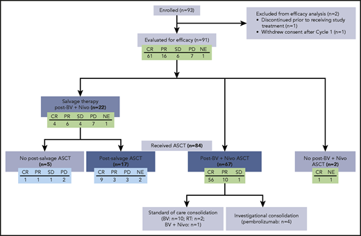 Therapy following study treatment, including ASCT. Of 91 patients evaluated for efficacy, 84 patients underwent ASCT, including 67 patients who did so directly after treatment with BV and Nivo. Two patients did not undergo ASCT after treatment with BV and Nivo. A total of 22 patients received salvage therapy after treatment with BV and Nivo. NE, not evaluable; PR, partial response; RT, radiation therapy; SD, stable disease.