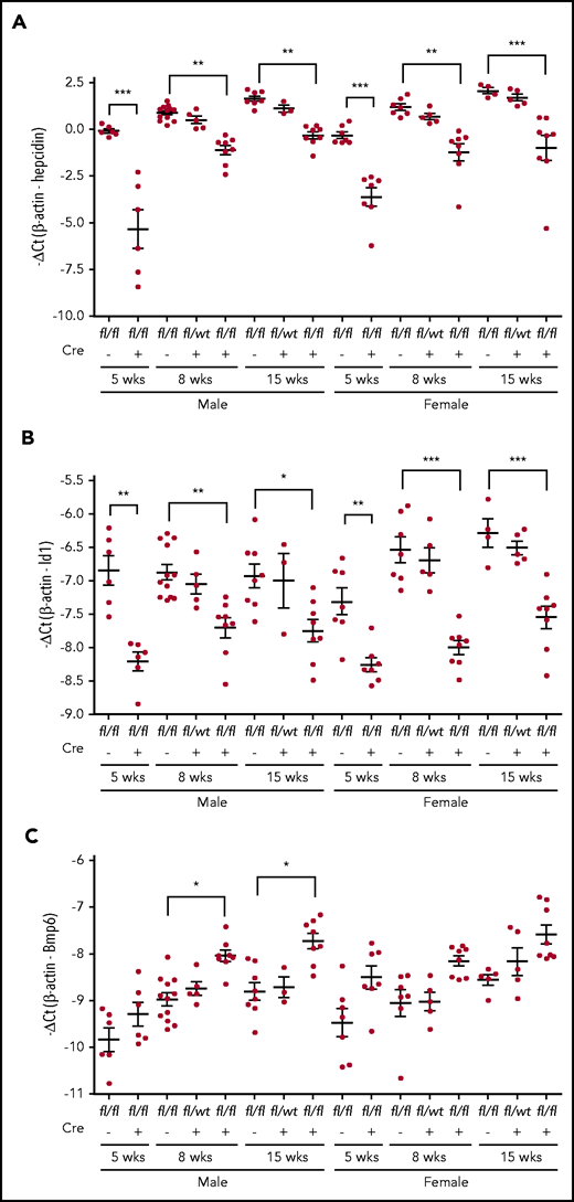 qRT-PCR analysis. (A) Hepatic hepcidin. (B), Id1. (C) Bmp6 mRNA. Each group consists of at least 3 animals. Data shown are means ± SD. A 2-tailed Student t test was used to analyze the data for 5-week-old mice, and 1-way ANOVA and Tukey’s posttests were used to analyze the data for 8- and 15-week-old mice. *P < .05; **P < .01; ***P < .001.