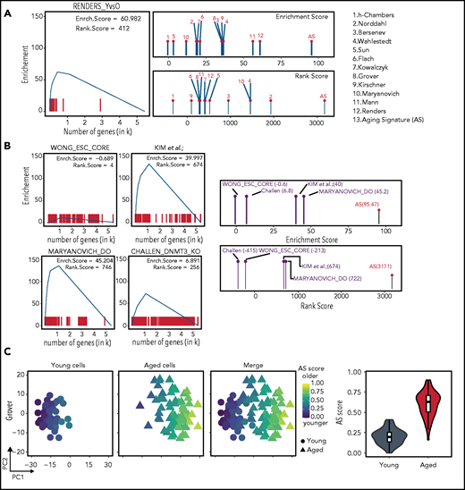 Employing the AS as a bona fide transcriptomic reference. (A) Using RS and dGSE analyses to compare existing data sets to the AS. Left panel shows a graphical representation of the dGSE enrichment analyses from our own generated HSC transcriptome data compared with the AS. Right panel shows plots of RS (upper) and dGSE (lower) enrichment analyses of all individual studies that comprise the AS. Numbers refer to the studies shown on the right. (B) Searching for an AS using RS and dGSE analyses in independent data sets. Upper left panel shows a lack of enrichment for aging genes in an embryonic stem cell signature from Wong et al.30 Upper right panel shows enrichment for the top 250 genes (sorted by FDR value) of Kim et al (K.K., A.M.-M and B.v.E, manuscript submitted December 2020). Lower right panel shows significant enrichment for an HSC AS among genes downregulated in “rejuvenated” HSCs from Maryanovich et al.18 Lower right panel shows significant enrichment for a HSC signature among differentially expressed genes in HSCs isolated from young DNMT3A/B knockout mice from Challen et al.29 The right-most panels show combined RS and dGSE scores for each test set. (C) Single-cell AS scores. Separation of young (circles) and aged (triangles) single-cell transcriptomics and their respective AS score. From Grover scRNA-seq data (48 young and 68 aged cells), individual cells were separated by principal component 1 (PC1) (x-axis) and PC2 (y-axis) and color-coded according to their individual AS score. Left column displays only young cells; middle column shows just aged cells and right column shows both populations. Cells are colored score from low (blue) to high (yellow) AS scores. On the far-right panel, violin and boxplots demonstrate the overall AS score (y-axis) distribution of the young (gray) and aged (red) cells.