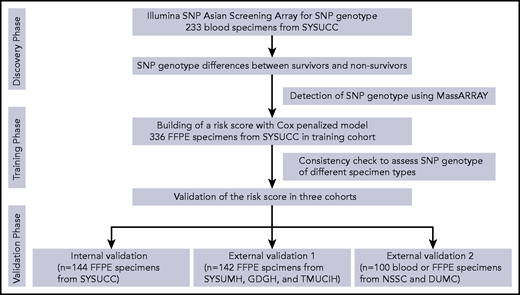 The study flowchart. DUMC, Duke University Medical Center; GDGH, Guangdong Provincial People's Hospital, Guangdong Academy of Medical Sciences; NSSC, National Cancer Center of Singapore; SYSUCC, Sun Yat-sen University Cancer Center; SYSUMH, Sun Yat-sen Memorial Hospital; TMUCIH, Tianjin Medical University Cancer Institute and Hospital.