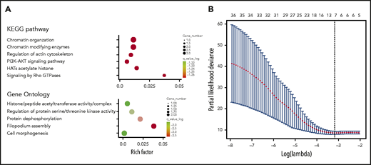 Construction of the 7-SNP–based classifier. (A) Top GO terms and KEGG pathway analysis of genes corresponding to 36 differentiated SNPs. (B) Seven SNPs are selected by LASSO Cox regression analysis.