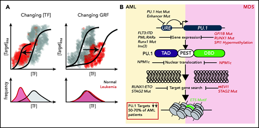 Multiple pathways of TF deregulation in AML and MDS. (A) TFs modify the output of target genes by influencing the reaction propensities of various steps in transcription in a manner proportional to some function of TF concentration. These functions can take on a variety of shapes, depending on the number of binding sites and the higher order complexes that a given TF is involved in at a target locus. Cooperativity at a locus produces gene regulatory functions (GRF) that are sigmoidal in shape. Although not mutually exclusive phenomena, in a simplistic sense deregulation can occur either through reducing the amount of TF produced or by changing the GRF shape through changing the degree of cooperativity. In the case of gene activation, this causes different effects at the level of single cells. In the former case (left), lower TF concentrations lead to less transcription of a target at the single-cell level. In the latter case (right), the amount of TF needed to sufficiently activate a target is increased, thereby reducing the number of cells which achieve the “threshold” concentration of TF. (B) Specific etiologies whereby the master myeloid TF PU.1 is deregulated in AML and MDS. Citations found within the main text. DBD, DNA-binding domain; PEST, Pro-Glu-Ser-Thr rich domain; TAD, transactivation domain.