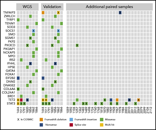 Select mutations found in WGS and targeted resequencing. The first panel shows the mutation distribution and type in the initial 7 whole-genome samples that were the basis for a targeted resequencing panel. The second panel shows validations on the targeted panel for the same samples and indicates good concordance between sequencing methods. The third panel shows additional paired PBMC/saliva samples sequenced by using the targeted panel, which identified few recurrently mutated genes in this cohort with the exceptions of TET2 and STAT3. Genes are listed by official gene symbol and samples by registry identification number.