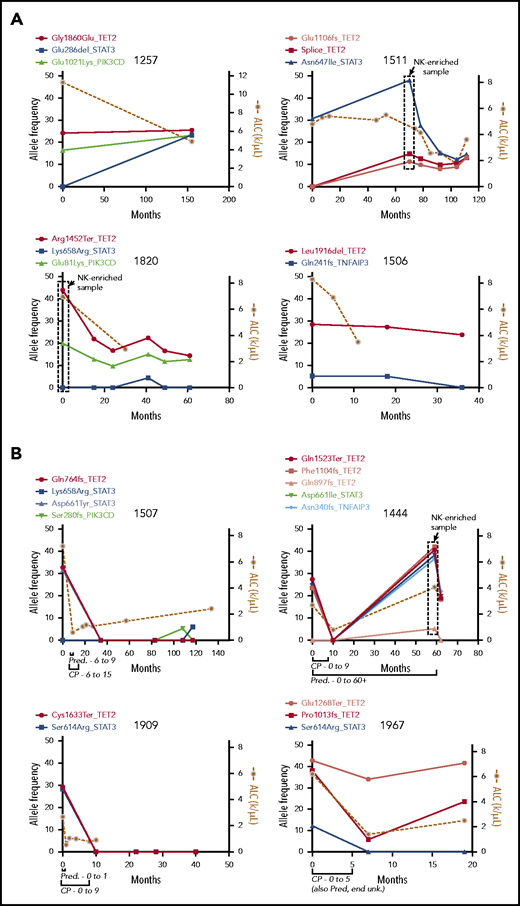Longitudinal measurement of mutation allele frequency in TET2 mutant PBMC samples. Variant allele frequencies (left y-axis) are shown in the 5 recurrently mutated genes as measured by targeted sequencing and plotted with leukemic burden as assessed by absolute lymphocyte count (ALC; right y-axis). (A) Four untreated samples showing long-term persistence of TET2 mutant clones. The boxed data points are from NK-enriched samples, and thus allele frequencies are skewed higher. (B) Four samples that received treatment with CP for 9 or 5 months as indicated, showing complete reduction of the mutant clone and lymphocyte counts in treated individuals. Pred, prednisone; unk., unknown.
