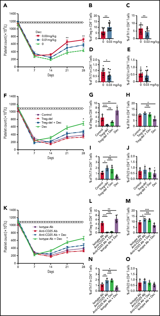 Low-dose decitabine ameliorated thrombocytopenia in active ITP murine models via Treg cells. ITP models were established in irradiated SCID mice with engraftment of 2 × 104 splenocytes from CD61 knockout mice immunized against wild-type C57 mice platelets; platelet counts were then monitored every week for 4 weeks (mean ± standard error of the mean). (A) From day 7, decitabine (0, 0.01 mg/kg, 0.03 mg/kg) was administered. The horizontally dotted lines represent the baseline platelet counts of SCID mice (mean ± standard error of the mean). On days 21 and 28, significantly higher platelet counts were observed in the group administered the 0.03-mg/kg dose of decitabine compared with control group. (B) Decitabine-treated ITP mice had a significantly higher percentage of splenic Treg cells in CD4+ T cells compared with control mice (n = 11 in the control group and n = 13 in the decitabine group, respectively). The percentage of Th1 (C) and Th17 (D) in CD4+ T cells were decreased in decitabine-treated spleens compared with controls. No significance was found in Th22 cells (E) in splenic CD4+ T cells (n = 9 in the control group and n = 10 in the decitabine group). Treg deletion (F) by magnetic beads and depletion (K) by anti-CD25 antibody partly offset the effect of decitabine on increasing platelet counts of ITP mice (n = 6). Treg-deleted splenocyte-transferred mice (G) and anti-CD25 antibody-treated mice (L) were significantly depleted of Treg cells in the spleens on day 28 (n = 6). (H-J) After Treg deletion, decitabine had no significant effect on splenic Th1, Th17, or Th22 cells on day 28 in ITP mice (n = 6). (M-O) With Treg depletion by anti-CD25 antibody, decitabine had no significant effect on splenic Th1, Th17, or Th22 cells on day 28 in ITP mice (n = 6). *P < .05, **P < .01, ***P < .001. Dec, decitabine; ns, not significant.