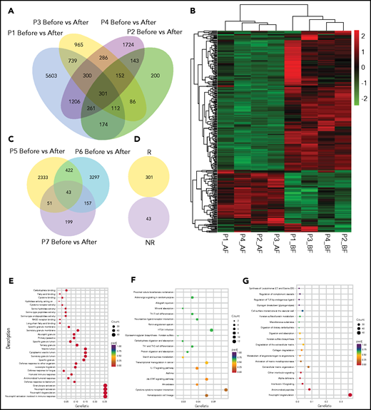 Profiles and enriched pathway analysis of decitabine-induced genes. (A) Venn diagram of overlapping genes of decitabine-altered genes in 4 responders. (B) Heat map of decitabine-altered genes in 4 responders with unsupervised clustering. Red to green colors represent relatively high to low gene expression, respectively, and gray indicates below the detectable level. (C) Venn diagram of overlapping genes of decitabine-altered genes in 3 nonresponders. (D) No overlap of decitabine-altered genes was observed between responders and nonresponders. (E-G) Pathways were predicted by Gene Ontology (E), KEGG (F), and Reactome (G) databases based on the expression changes of decitabine altered genes in 4 responders. AF, after; BE, before; NR, nonresponders; R, responders.