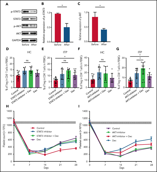 Low-dose decitabine inhibited the STAT3 signaling pathway. (A) Representative western blots of phosphorylated-STAT3 (p-STAT3), total STAT, phosphorylated-AKT (p-AKT), total AKT, and GAPDH in PBMCs from patients with ITP before and after decitabine treatment. (B-C) Graphs present densitometry data of relative phosphorylated protein to total protein (n = 3). Treg cells in CD4+ T cells from healthy control subjects (D; n = 10) and patients with ITP (E; n = 8) in the STAT3 inhibitor plus decitabine group were no different from those in the STAT3 inhibitor group in vitro. In the presence of AKT inhibitor, decitabine significantly increased the percentage of Treg cells from patients with ITP in vitro (G; n = 10), but not in the healthy control subjects (F; n = 8). (H) The platelet counts in the STAT3 inhibitor plus decitabine group were not significantly different from those in mice receiving STAT3 inhibitor (n = 6). (I) AKT inhibitor plus decitabine increased platelet counts in mice compared with AKT inhibitor on day 21 (n = 6). *P < .05. Dec, decitabine; ns, not significant.