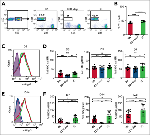 CD4 T cells are required for anti-HOD IgG alloantibody formation. (A-B) Gating strategy (A) and quantification (B) of the percentage of CD3+CD4+CD8− CD4 T cells in splenocytes obtained from B6 mice that received PBS (B6), CD4-depleting antibody (CD4 dep), or IC antibody. (C-D) Representative line graph (C) and quantification (D) of anti-HOD IgM alloantibody formation in CD4 T-cell–depleted mice (blue) compared with B6 control mice (red) and IC mice (green) following HOD RBC transfusion. (E-F) Representative line graph (E) and quantification (F) of anti-HOD IgG alloantibody formation in CD4 T-cell–depleted mice (blue) compared with B6 control mice (red) and IC mice (green) following HOD RBC transfusion. Error bars represent standard deviation; results are representative of 2 or 3 independent experiments with ≥5 mice per group. ****P < .0001, ***P < .0002, **P < .006, *P < .02; 1-way ANOVA with Tukey’s post hoc test. D3, day 3; D5, day 5; D7, day 7; D14, day 14; D21, day 21; MFI, mean fluorescence intensity; ns, not significant.