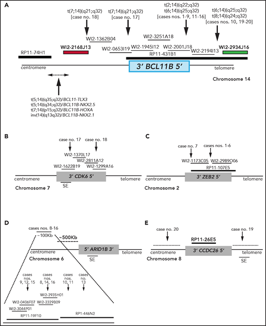 Breakpoint characterization in BCL11B-a AL. (A) Break-apart FISH assay differentiating t(2;14), t(6;14), t(7;14), and t(8;14) translocations (fosmid WI2-2168J13, red and fosmid WI2-2934J16, green) from 4 known rearrangements in T-ALL. The thin black horizontal lines represent fosmids that were used to narrow the 14q32 breakpoints. Arrows indicate the mapping of the breakpoint in each case. (B-E) Mapping of breakpoints at CDK6/7q21.2 (B); ZEB2/2q22.3 (C); 6q25.3 (D); 8q24 (E). Patient case numbers refer to Table 1. The figure panels are not to scale. SE, superenhancer.