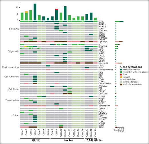 Mutational profile of BCL11B-a AL. Oncoprint heat map showing all sequence variants detected in BCL11B-a AL cases. In addition to somatic mutations (dark green), variants in which the somatic or germline origin could not be definitively assessed (light green) are indicated. Additional gene alterations are represented by different colors. Mutational analysis was not performed in cases 15 and 19 because of lack of material. cnLOH, copy neutral loss of heterozygosity.