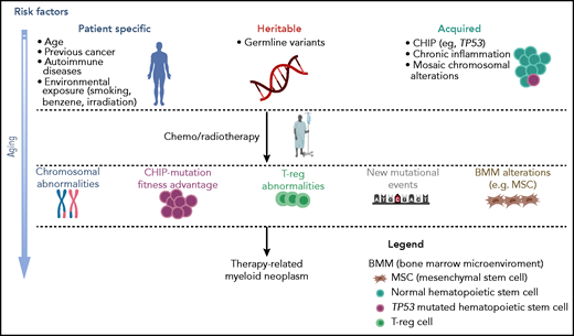 Multistep pathogenesis of t-MNs. Patient-related factors, including age, type, and treatment of primary disease, in the presence of germ-line variants, together with acquired factors, such as CHIP and inflammation, may all contribute to lay the groundwork for the development of myeloid diseases.40-47 The subsequent cytotoxic therapy may later induce further genetic changes, the selection of abnormal hematopoietic clones, and changes in the microenvironment, resulting in the onset of a t-MN. Professional illustration created with BioRender.com.