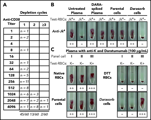 Depletion of anti-CD38 from patient plasma using Darasorb cells. (A) Sixty routine plasma samples from 27 patients treated with anti-CD38, 26 patients treated with DARA, and 1 patient treated with isatuximab, were processed with Darasorb cells and subsequently analyzed in gel test cards. Fifty of 60 (97%) investigated samples were anti-CD38 depleted with 1 (n = 45) or 2 (n = 13) depletion cycles with Darasorb cells. Only 2 tested plasma samples remained pan-agglutinating after 2 incubations. (B) Depletion with Darasorb cells quantitatively retains irregular antibodies. Untreated patient plasma containing low-titer anti-Jka antibodies was spiked with DARA, resulting in agglutination with Jka positive (+) and Jka negative (−) RBCs. After treatment with Darasorb cells, only agglutination with the Jka positive (+) RBCs is observed, indicating complete and specific removal of free anti-CD38. The negative control (incubation with parental cells) remained pan-reactive, as expected. (C) IAT with plasma containing DARA and anti-K. A patient plasma containing anti-K antibodies was supplemented with DARA, resulting in pan-agglutination with native test RBCs I, II and III. After treatment of the RBCs with DTT, all reactions are negative, because CD38 and KEL glycoprotein on the test cells are destroyed. After selective depletion of DARA with Darasorb cells, a positive reaction is observed with the KEL1-expressing (K+) test RBCs III. The negative depletion control (parental cells) showed the expected result.