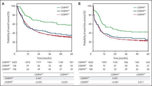 Survival analysis according to CEBPA mutation status (CEBPAwt, CEBPAbi, and CEBPAsm) within the cohort of 4461 patients receiving intensive treatment. Kaplan-Meier plots showing OS (A) and EFS (B). Numbers below the figures denote the patients at risk. The tables provide the results of pairwise univariate analyses.