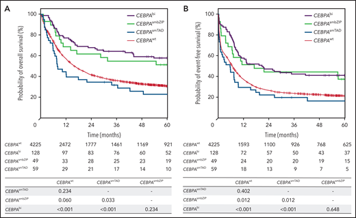 Survival analysis according to CEBPA mutation status (CEBPAbi, CEBPAsmTAD, CEBPAsmbZIP, and CEBPAwt) within the cohort of 4461 patients receiving intensive treatment. Kaplan-Meier plots showing OS (A) and EFS (B). Numbers of patients at risk and results of log-rank tests from pairwise comparisons are provided below the x-axis.