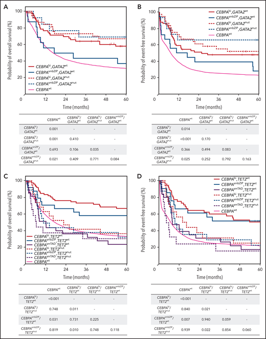 Survival analysis according to CEBPA and GATA2 mutational status within the cohort of 4461 patients receiving intensive treatment. Kaplan-Meier plots showing OS (A) and EFS (B) of CEBPAwt, compared with CEBPAbi/GATA2wt (n = 82), CEBPAbi/GATA2mut (n = 46), CEBPAsmbZIP/GATA2wt(n = 31), CEBPAsmbZIP/GATA2mut (n = 18) mutant cases. Survival analysis according to CEBPA mutation status and TET2 status within a cohort of 4461 patients. Kaplan-Meier plots showing OS (C) and EFS (D) of CEBPAwt, compared with CEBPAbi/TET2wt (n = 98), CEBPAbi/TET2mut (n = 30), CEBPAsmbZIP/TET2wt (n = 33), CEBPAsmbZIP/TET2mut (n = 16) mutant cases. Numbers of patients at risk and results of log-rank tests from pairwise comparisons are provided below the x-axis.