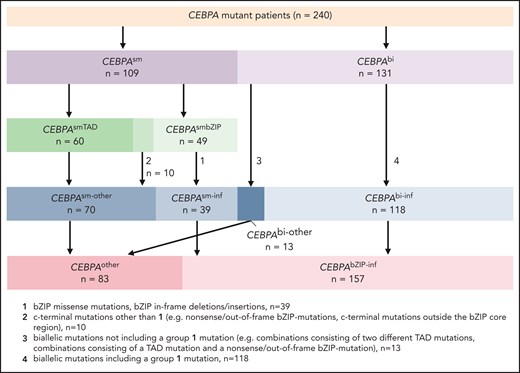 Grouping of CEBPA mutations according to localization and type.