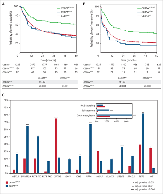 Survival analysis according to CEBPA mutation status (CEBPAwt, CEBPAbZIP-inf, and CEBPAothers) within the cohort of 4461 patients receiving intensive treatment. Kaplan-Meier plots showing OS (A) and EFS (B). (C) Frequency distribution of additional gene mutations identified in patients with CEBPAbZIP-inf and CEBPAothers mutant genes (frequency of at least 5% in one subgroup). RAS signaling, including KRAS, NRAS, PTPN11, CBLB; spliceosome, including SF3B1, SRSF2, and ZRSR2; and methylation, including DNMT3A, IDH1, IDH2, and TET2. Numbers of patients at risk and results of log-rank tests from pairwise comparisons are provided below the x-axis.