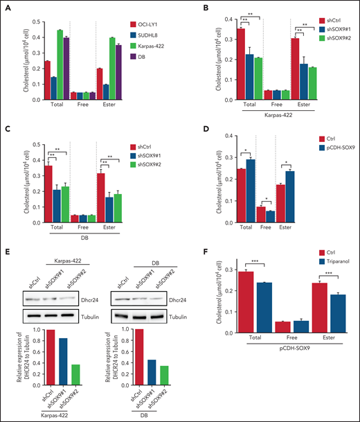 SOX9 modulates cholesterol biosynthesis via DHCR24. (A) Total and free cholesterol levels were measured in DLBCL cells with high (Karpas-422 and DB) or low (OCI-LY1 and SUDHL8) levels of SOX9. A total of 1 × 106 cells were used for each measurement. (B-D) Total and free cholesterol levels were measured in SOX9− Karpas-422 cells and DB cells and in SOX9-overexpressing OCI-LY1 cells. The level of cholesterol ester was calculated: total cholesterol − free cholesterol content. (E) Immunoblot assay and densitometry quantitation of DHCR24 protein in SOX9− Karpas-422 and DB cells. (F) Karpas-422 or DB cells were treated with triparanol for 48 hours or left untreated before they were subjected to cholesterol content measurement. (A-D, F) Data represent the mean ± SD of technical triplicates. *P < .05; **P < .01; ***P < .001.