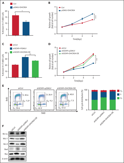 SOX9 modulates cholesterol biosynthesis via DHCR24. (A) Total and free cholesterol levels were measured in DLBCL cells with high (Karpas-422 and DB) or low (OCI-LY1 and SUDHL8) levels of SOX9. A total of 1 × 106 cells were used for each measurement. (B-D) Total and free cholesterol levels were measured in SOX9− Karpas-422 cells and DB cells and in SOX9-overexpressing OCI-LY1 cells. The level of cholesterol ester was calculated: total cholesterol − free cholesterol content. (E) Immunoblot assay and densitometry quantitation of DHCR24 protein in SOX9− Karpas-422 and DB cells. (F) Karpas-422 or DB cells were treated with triparanol for 48 hours or left untreated before they were subjected to cholesterol content measurement. (A-D, F) Data represent the mean ± SD of technical triplicates. *P < .05; **P < .01; ***P < .001; ****P < 0.0005.