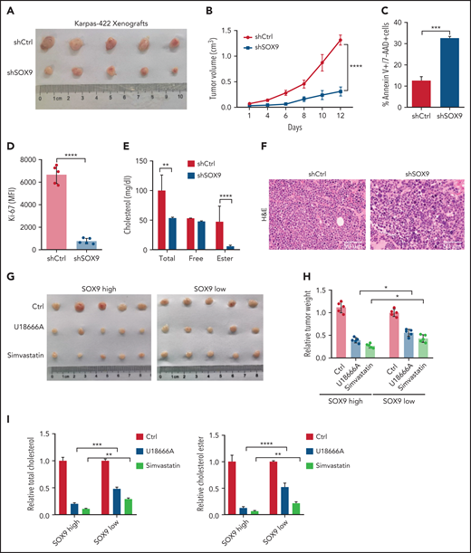 Inhibition of SOX9 and cholesterol synthesis deaccelerates tumor growth in vivo. (A) Ten million SOX9− Karpas-422 cells were subcutaneously injected into each nude mouse (n = 5). Three weeks after transplantation, the mice were euthanized and tumor size (A), tumor volume (B), apoptosis (C), proliferation (D), and cholesterol contents (E) were measured, and DLBCL morphology (F) was examined in the mice. Ten million DLBCL cells harboring a high level (Karpas-422) or a low level (SUDHL8) of SOX9 were subcutaneously injected into each nude mouse (n = 5). Meanwhile, 10 mg/kg U18666A (every 2 days) or 50 mg/kg simvastatin (every 2 days) were either orally administered or intraperitoneal injected into the DLBCL xenograft-recipient mice for a week. Bar represents 50 μm. Three weeks after transplantation and drug administration, the mice were euthanized and tumor size (G), relative tumor weight (H), and relative cholesterol contents (I) were measured. (B-I) Data represent the mean ± SD from technical triplicates. *P < .05; **P < .01; ***P < .001; ****P < .005.