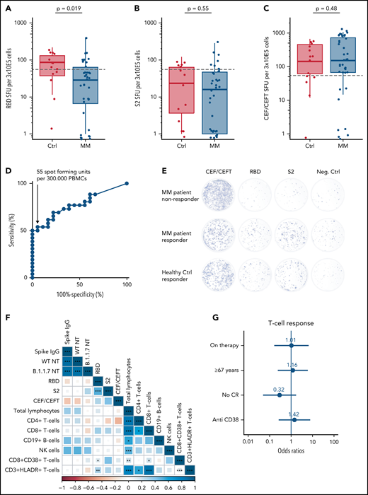 T-cell response after 2 doses of SARS-CoV-2 vaccination. (A) Receptor-binding domain (RBD)-specific spot-forming units (SFUs) per 3 × 105 peripheral blood mononuclear cells (PMBCs) stratified for healthy controls (Ctrl) vs patients with MM for quantification of IFN-γ-mediated T-cell response. (B) S2-specific SFUs and (C) CEF/CEFT-specific SFUs per 3 × 105 PBMCs stratified for Ctrls vs patients with MM. SFUs in the negative control were subtracted from all RBD, S2, and CEF/CEFT-peptide treated conditions to normalize for unspecific IFN-γ secretion. Dashed horizontal lines indicate cutoff, determined by ROC analysis for T-cell response (D). The graph shows the tests sensitivity plotted against the specificity (100% − proportion of false positives) measured by the IFN-γ response of healthy individuals before and after SARS-CoV-2 vaccination (T1 and T3) upon stimulation with S2 and RBD peptides (area = 0.7767; 95% confidence interval, 0.6431-0.9121, P = .002). We selected a cutoff value of 55 SFU per 3 × 105 PBMCs because this value still yields a specificity >95% (95.5%), whereas the sensitivity is >50% (53.8%). (E) Representative images of IFN-γ ELISpot from patients with MM who did or did not respond in comparison with a healthy control who responded to the vaccination. (F) Spearman correlation matrix for levels of serologic response, T-cell response, and prevaccination immune cell status. The color axis corresponds to the Spearman correlation coefficient for each correlation. P values are reported as *<.05, **<0.01, ***<.001. (G) Multivariate logistic regression analysis for factors affecting achievement of T-cell response with numeric report of the odds ratio (OR) and P values <.05 are indicated with *.