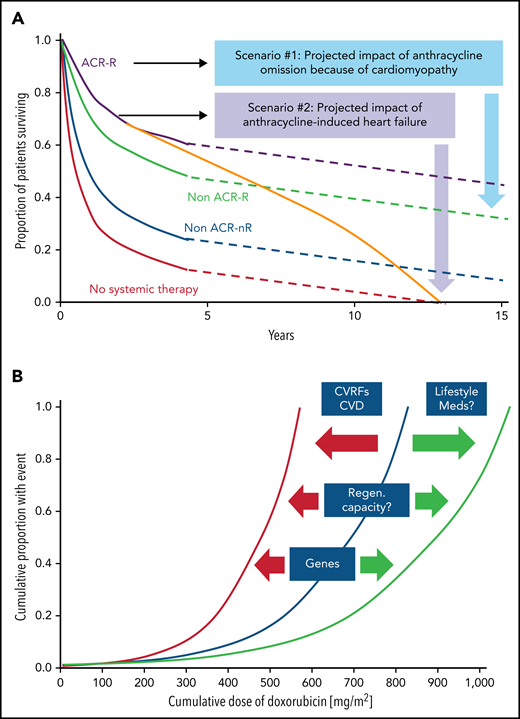 Impact of cardiomyopathy and the correlation of cumulative anthacycline doseage. (A) Illustration of the impact of cardiomyopathy (decline in cardiac function) and/or heart failure before, during, or after anthracycline-based therapy in older patients with diffuse large B-cell lymphoma. ACR, anthracycline-containing regimen; R, rituxumab (modified from Tien et al,87 and based on data from Ammar et al.88 (B) Outline of the correlation of cumulative anthracycline dose (doxorubicin equivalent) and risk of heart failure and the impact of modulating factors such as cardiovascular risk factors (CVRFs), CVDs, and genetic predisposition, as well as lifestyle factors such as exercise/fitness and adjunctive/concomitant medications and therapies which shift the curve to the left (ie, increasing the likelihood of heart failure at a lower-dose spectrum) or to the right (ie, lower risk of heart failure at similar or even higher dose range).