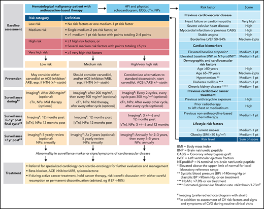 Outline of a risk-based management approach to anthracycline cardiomyopathy. For more on the outline, see Lyon et al,15 Pudil et al,17 and Öztürk et al.19 cTn, cardiac troponin, ECG, electrocardiogram, HTN, hypertension, NPs, natriuretic peptides.