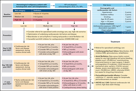 Outline of a risk-based management approach to HSCT. Outline based on Armenian et al.62 ASCVD, atherosclerotic cardiovascular disease; cTn, cardiac troponin; ECG, electrocardiogram; GI, gastrointestinal; GU, genitourinary; HTN, hypertension; LMWH, low molecular weight heparin.
